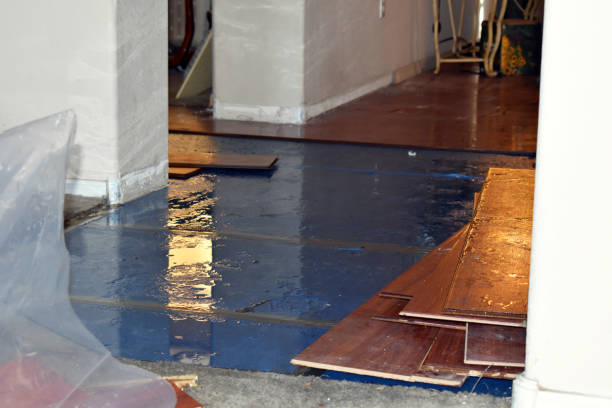 Professional Sewage Cleanup technician working in Van Meter, IA